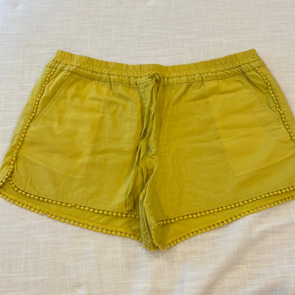LOFT shorts. Size large.